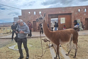 Visite privée de 6 jours du meilleur de la Bolivie au départ de La Paz avec vols