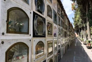 Sucre: Hike, Explore & Discover Monte Villca Protected Park