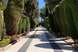 Sucre: Hike, Explore & Discover Monte Villca Protected Park