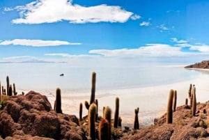 Surpreendente Salar Uyuni 3 Dias / 2 Noites.