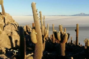 Atacama: 3 Day Tour to the Uyuni Salt Flat |Private Service|