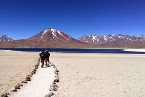 Atacama: 3-daagse tour naar de zoutvlakte van Uyuni | Privéservice