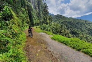 Bolivia: Death Road Bike Tour with Lunch and Hotel Transfer