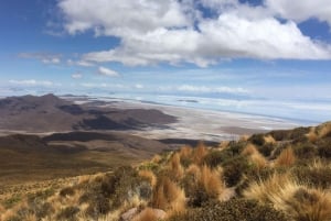 BOLIVIA: DISCOVER UYUNI SALT FLAT IN 2 DAYS/1 NIGHT