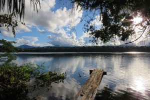 Bolivianischer Amazonas: 3 Tage, Madidi Nat. Park mit Baumstämmen