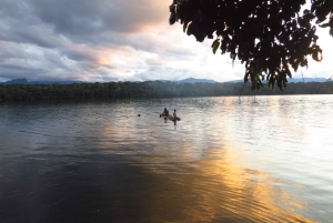 Amazônia boliviana: 3 dias, Madidi Nat. Madidi com árvores