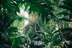 Amazonie bolivienne : 3 jours, Parc Nat. Park avec treetents