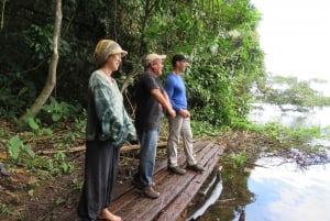 Boliviansk Amazonas: 3 dager, Pampas og Awaisal-samfunnet