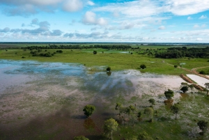 Bolivian Amazon Wildlife & Culture 3-Day Tour: Pampa y Selva