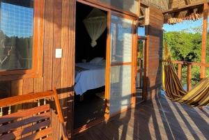 Bolivian Amazon Wildlife & Culture 3-Day Tour: Pampa y Selva