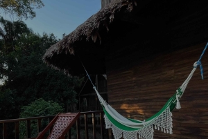 Bolivian Amazon Wildlife & Culture 3-Day Tour: Pampa y Selva