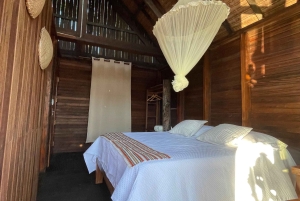 Bolivian Amazon Wildlife & Culture 3-Day Tour: Pampa y Selva