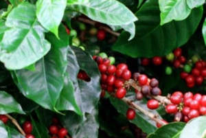 Matkapäivä / El Fuerte & Samaipata