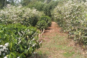 Matkapäivä / El Fuerte & Samaipata