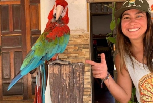 Matkapäivä / El Fuerte & Samaipata