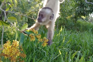 Matkapäivä / El Fuerte & Samaipata