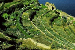 Katamaran på Titicaca-søen og besøg på Isla del Sol