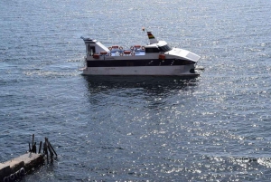 Katamaran på Titicacasjön och besök på Isla del Sol