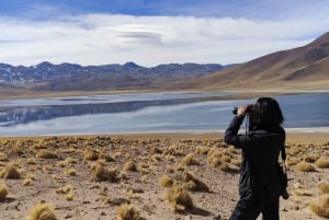 Chile: Aventura inesquecível no Altiplano