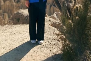 Tour della città con funivia e visita alla Valle della Luna