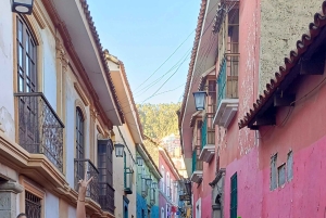 Tour della città con funivia e visita alla Valle della Luna