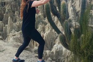 Tour della città con funivia e visita alla Valle della Luna