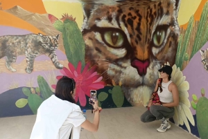 Tour della città con funivia e visita alla Valle della Luna