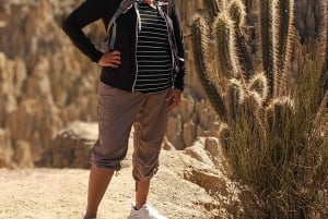 Tour della città con funivia e visita alla Valle della Luna