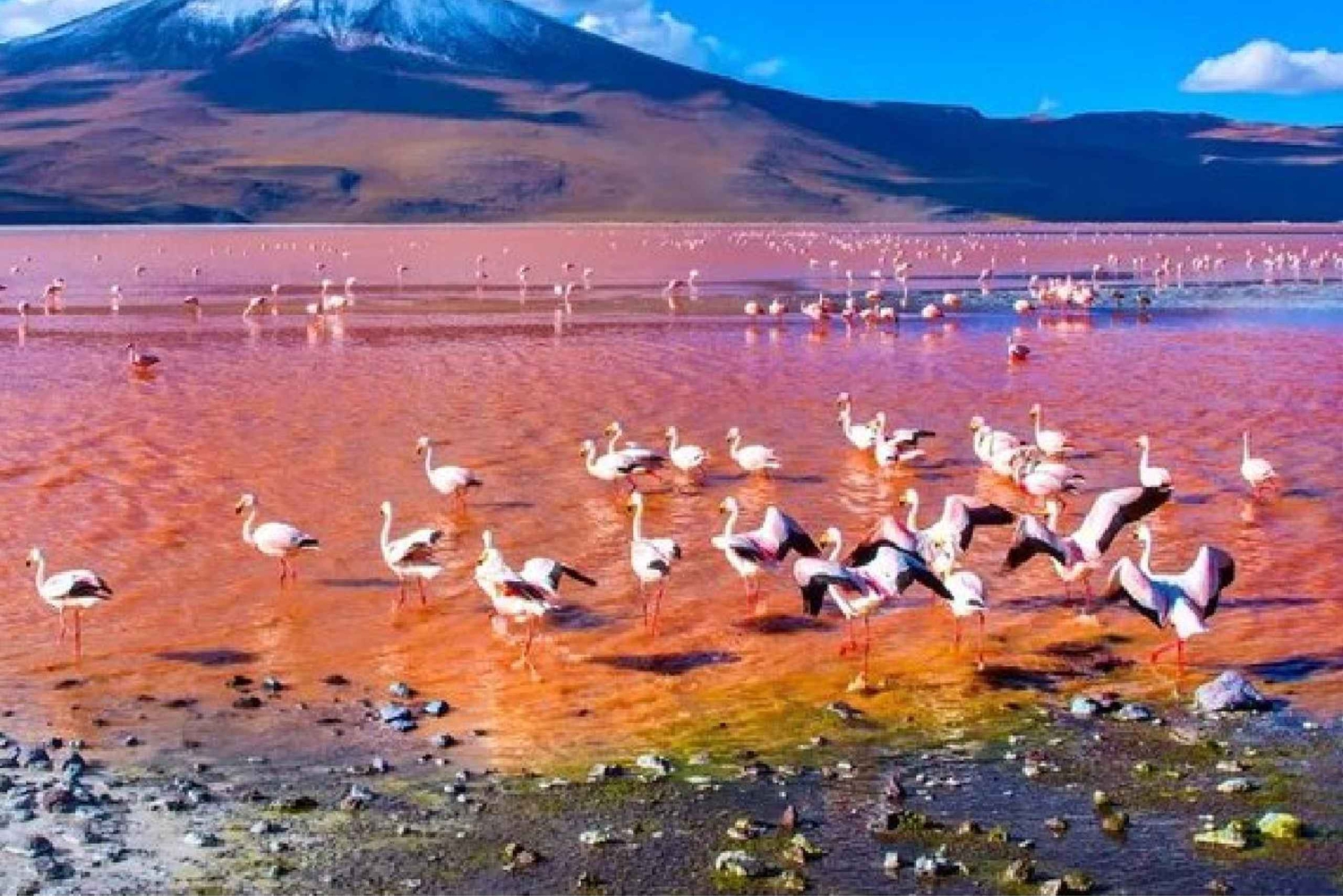 Klassische Uyuni Salzwiesen Tour 2 Nächte und 3 Tage