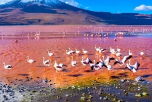 Klassisk Uyuni Salt Flats Tour 2 netter og 3 dager