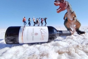 Klassisk Uyuni Salt Flats Tour 2 netter og 3 dager