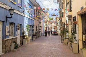 Cochabamba: Visita guiada ao centro histórico e aos pontos altos