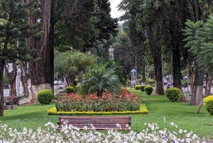 Cochabamba: Visita guiada ao centro histórico e aos pontos altos