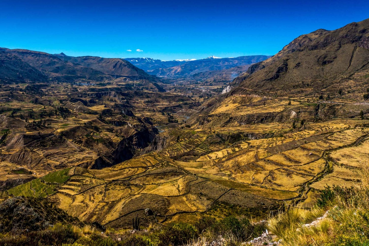 Colca Canyon: 2-dagers tur fra Arequipa til Puno