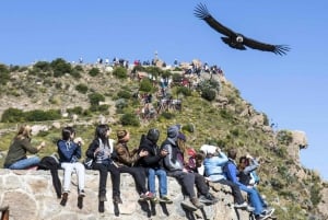 Colca Canyon: 2-daagse tour van Arequipa naar Puno