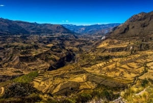 Colca Canyon: excursão de 2 dias de Arequipa a Puno