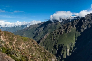 Colca Canyon: excursão de 2 dias de Arequipa a Puno