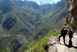 Colca Canyon: 2-dagers tur fra Arequipa til Puno