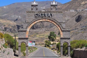 Excursion d'une journée au Canyon de Colca + transfert à Puno avec repas