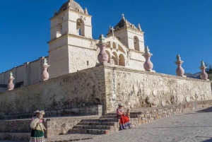 Colca Canyon dagsudflugt + transfer til Puno med måltider