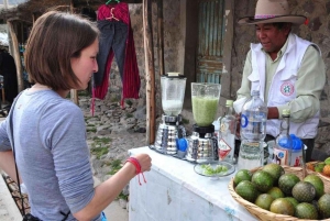 Colca Canyonin päiväretki + kuljetus Punoon aterioineen