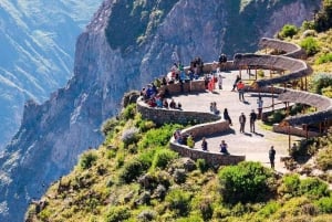 Excursion d'une journée au Canyon de Colca + transfert à Puno avec repas