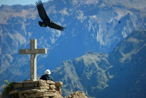 Colca Canyon-utflukt 2 dager med avslutning i Puno