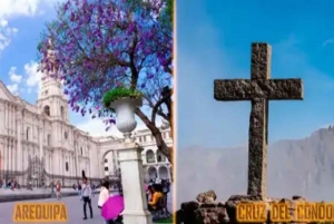 Passeio turístico ao Cânion do Colca 2D1N e traslado a Puno