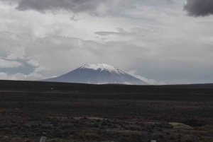 Colca Canyon sightseeingtour 2D1N en transfer naar Puno