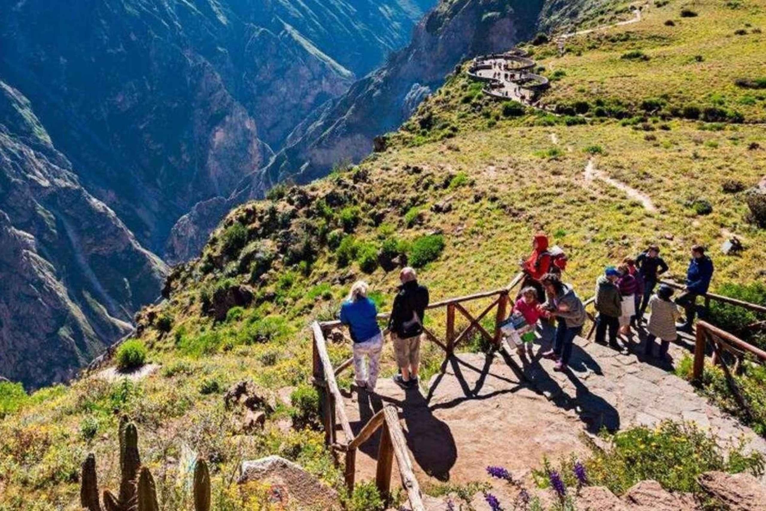 Escursione nel Canyon del Colca 2 giorni + trasferimento a Puno con pasti
