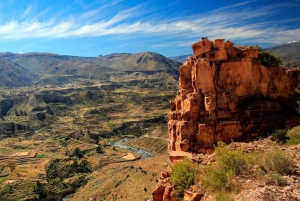 Colca Canyon-tur 2 dage + transfer til Puno med måltider