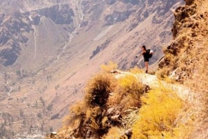 Colca Canyon Trip 2 Days + Transfer to Puno with Meals