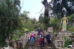 Copacabana, Sun Island 1-dags privat tur