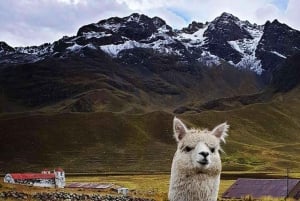 Cusco: Route of the sun + 1 day tour in Puno